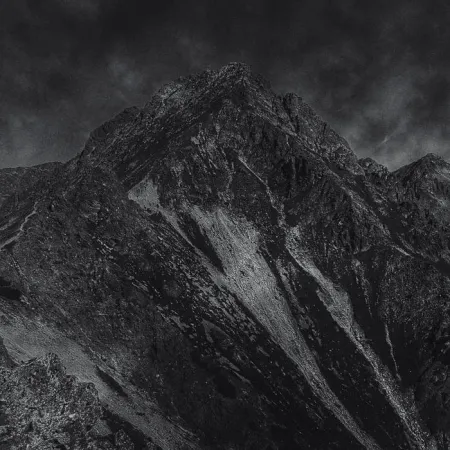 WHALESONG- LIVING A DREAM